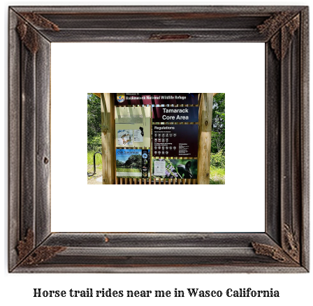 horse trail rides near me in Wasco, California